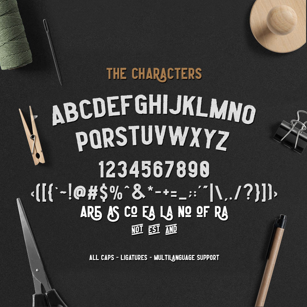 Leaderson Family Font 6