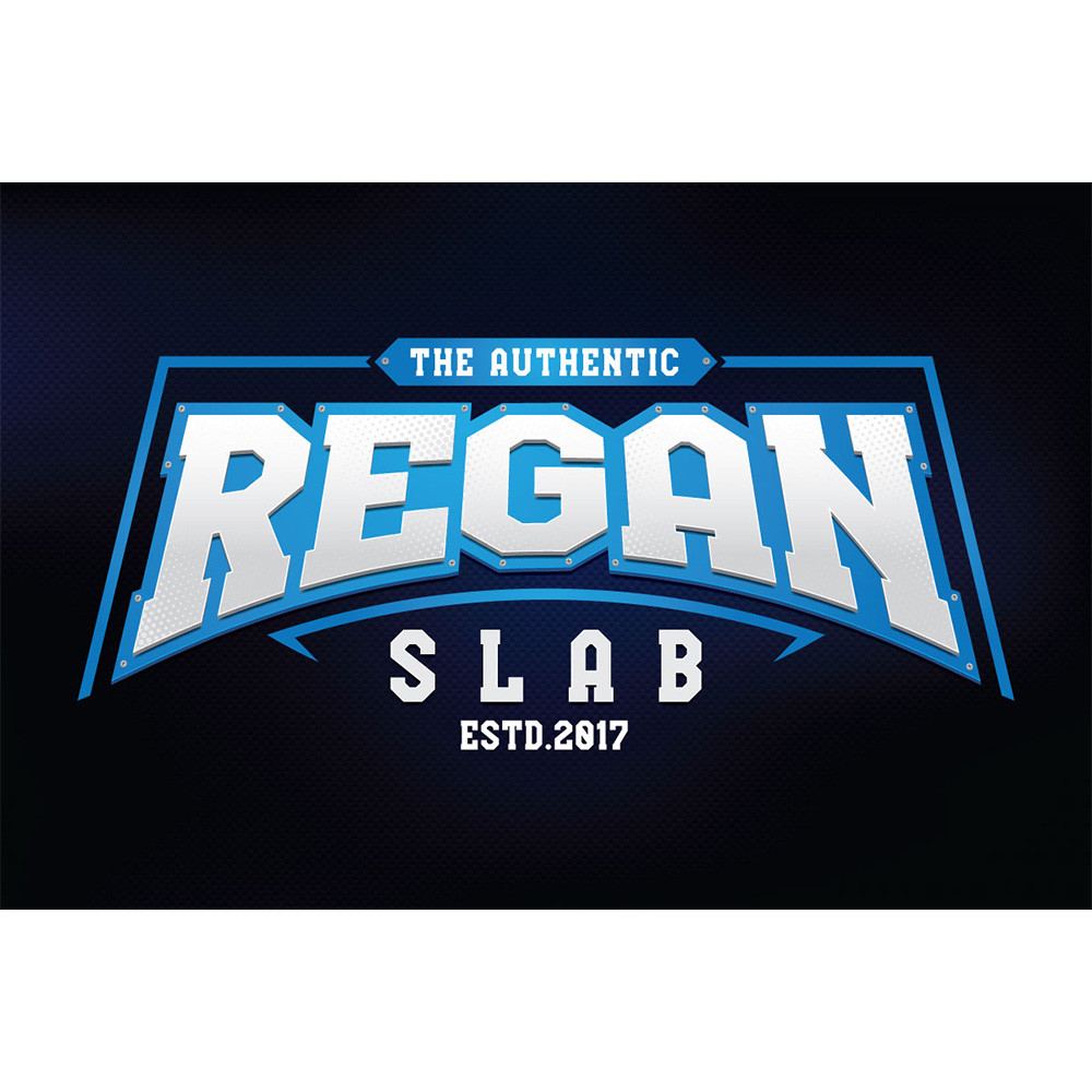 Regan Slab Font 0