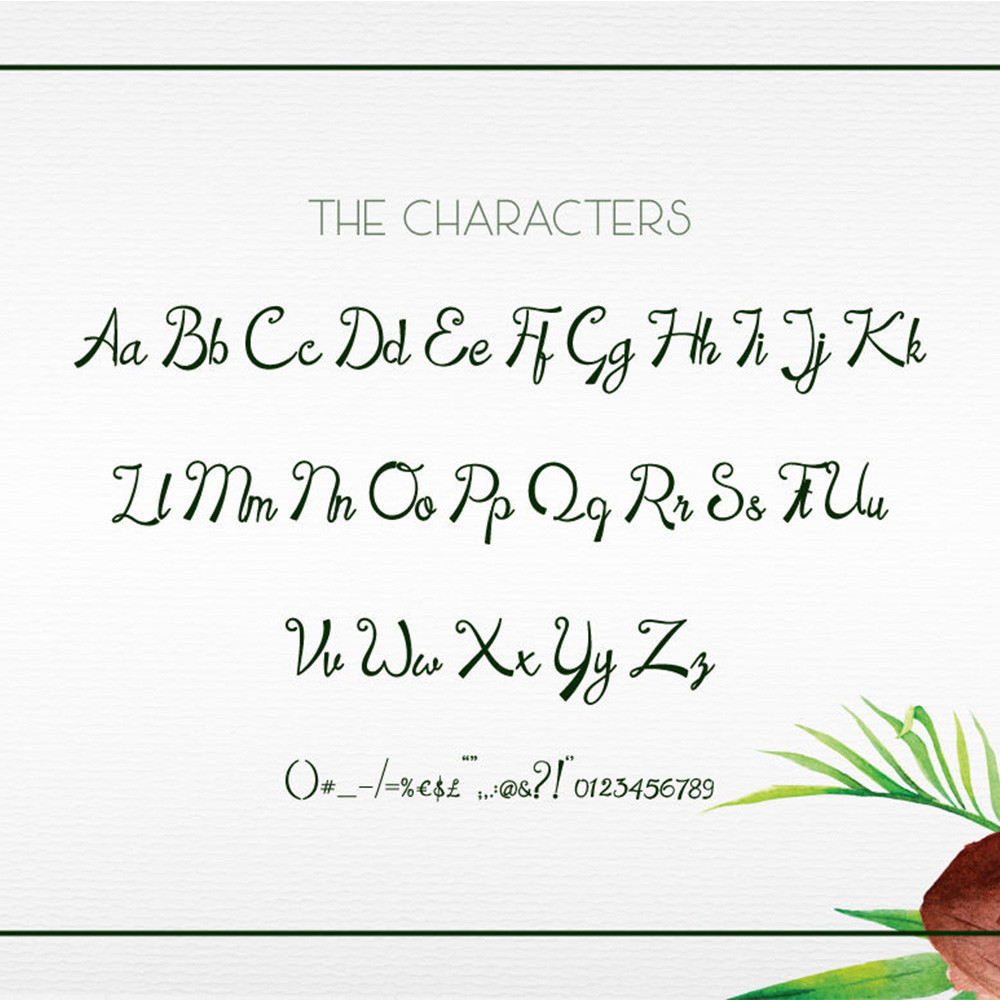 Summer Coconut Font 6