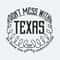 Don't Mess With Texas We Know The Constitution SVG.jpeg