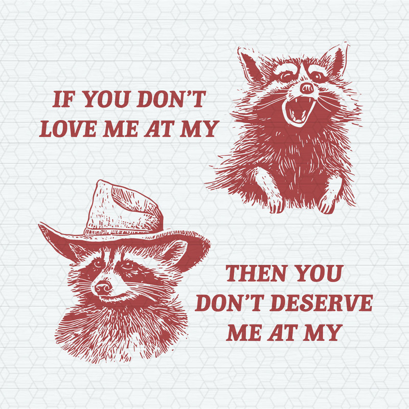 If You Don't Love Me At My Funny Raccoon SVG.jpeg