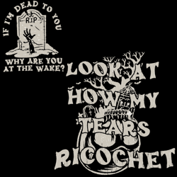 look at how my tears ricochet taylor swift svg digital file