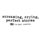 2710231032 Screaming Crying Perfect Storms Taylors Version Svg File 2710231032.png
