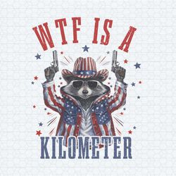 wtf is a kilometer raccoon meme png