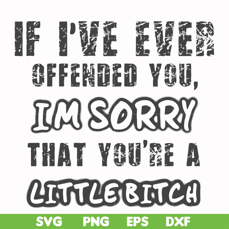 FN000662-If I've ever offended you Im sorry that you're a little bitch svg, png, dxf, eps file FN000662.jpg