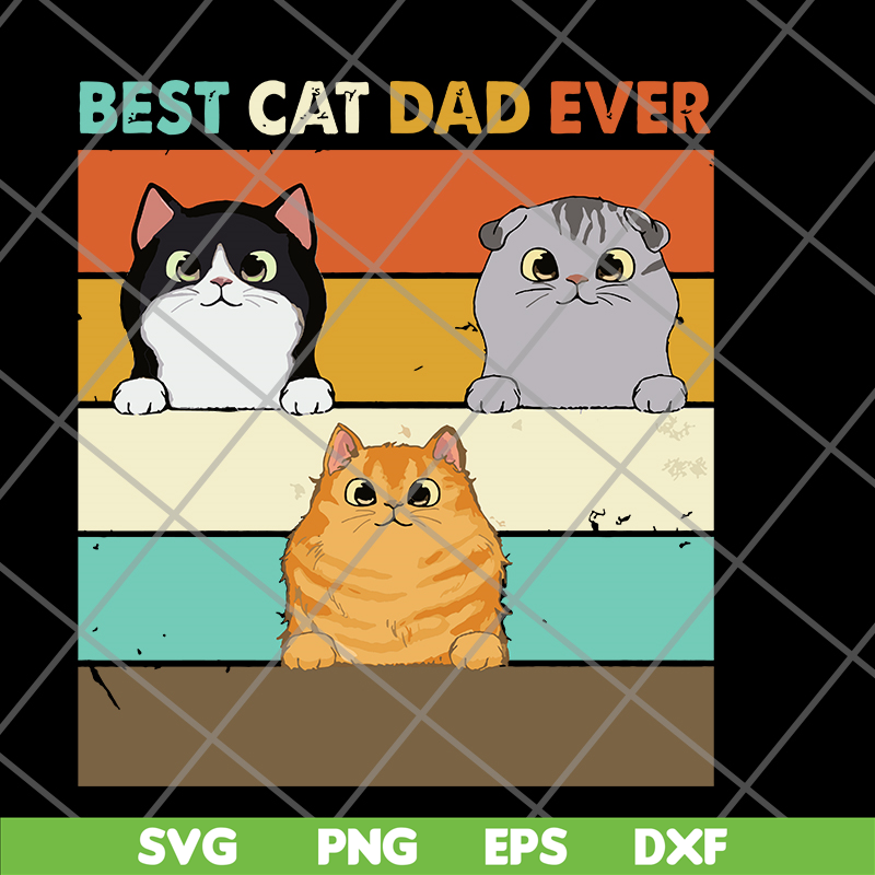 FTD10062110-Fluffy Cat Best Cat Dad Retro svg, png, dxf, eps digital file FTD10062110.jpg