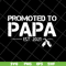 FTD28042118-Promoted to papa 2021 svg, Fathers day svg, png, dxf, eps digital file FTD28042118.jpg