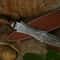 17 Inch Handmade Damascus Steel Double Edge Dagger Knife With Leather Handle Christmas Gift Combat 4