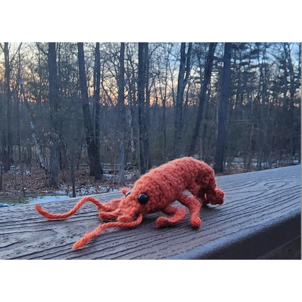 Shirley The Shrimp 0