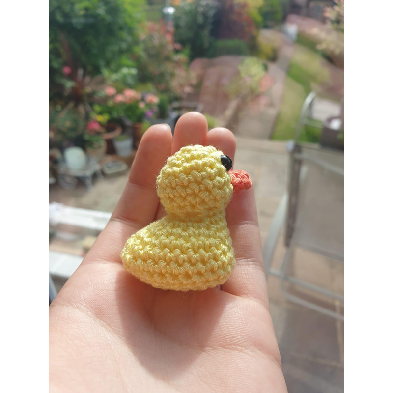 Crochet Duck 0