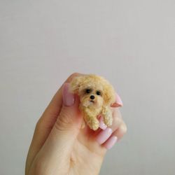 For Janet. Miniature Shih Poo dog, Mini pcute puppy, Dollhouse miniatures
