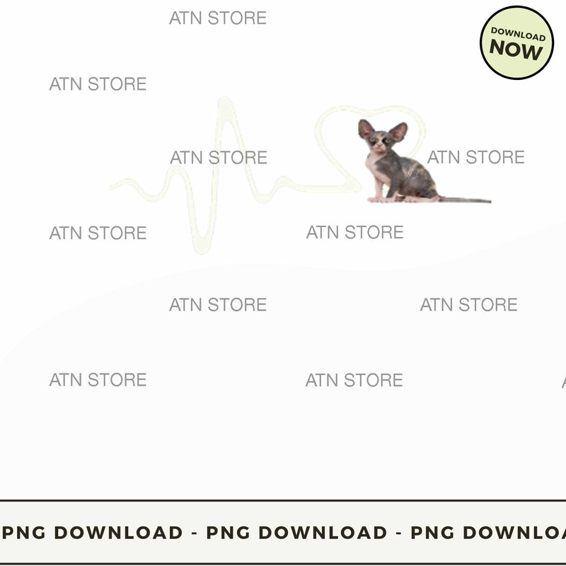 Sphynx cat  heartbeat.jpg