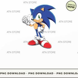 sonic the hedgehog 3 amy rose son 100 high-quality png, nat improvisal store