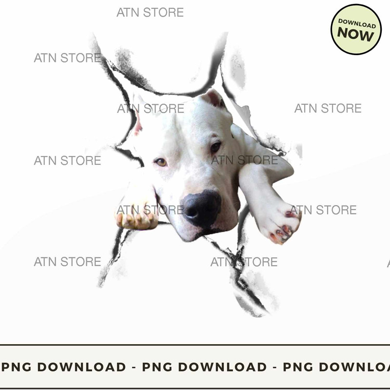 Dogo Argentino 3D.jpg