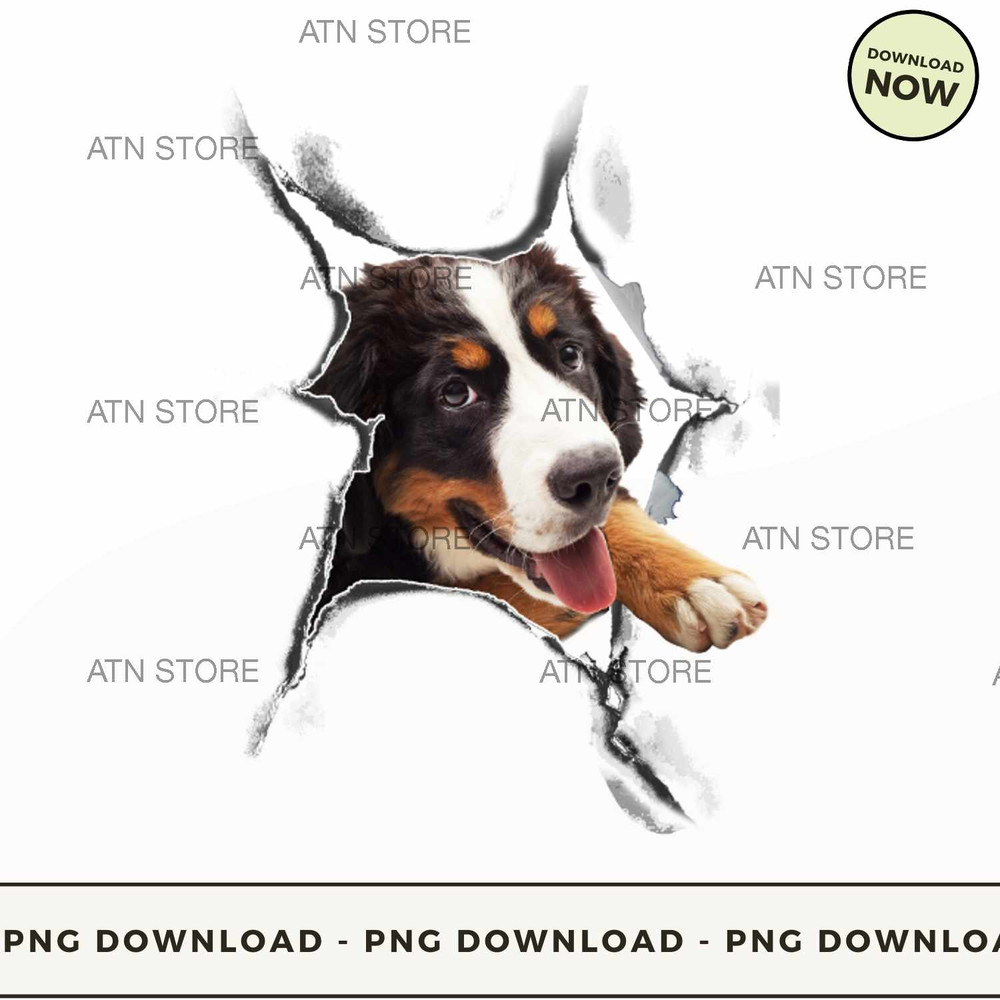 Bernese Mountain dog 3D.jpg