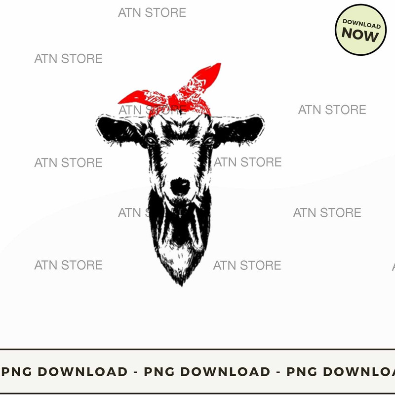 black and white goat wearing a red bandana.jpg