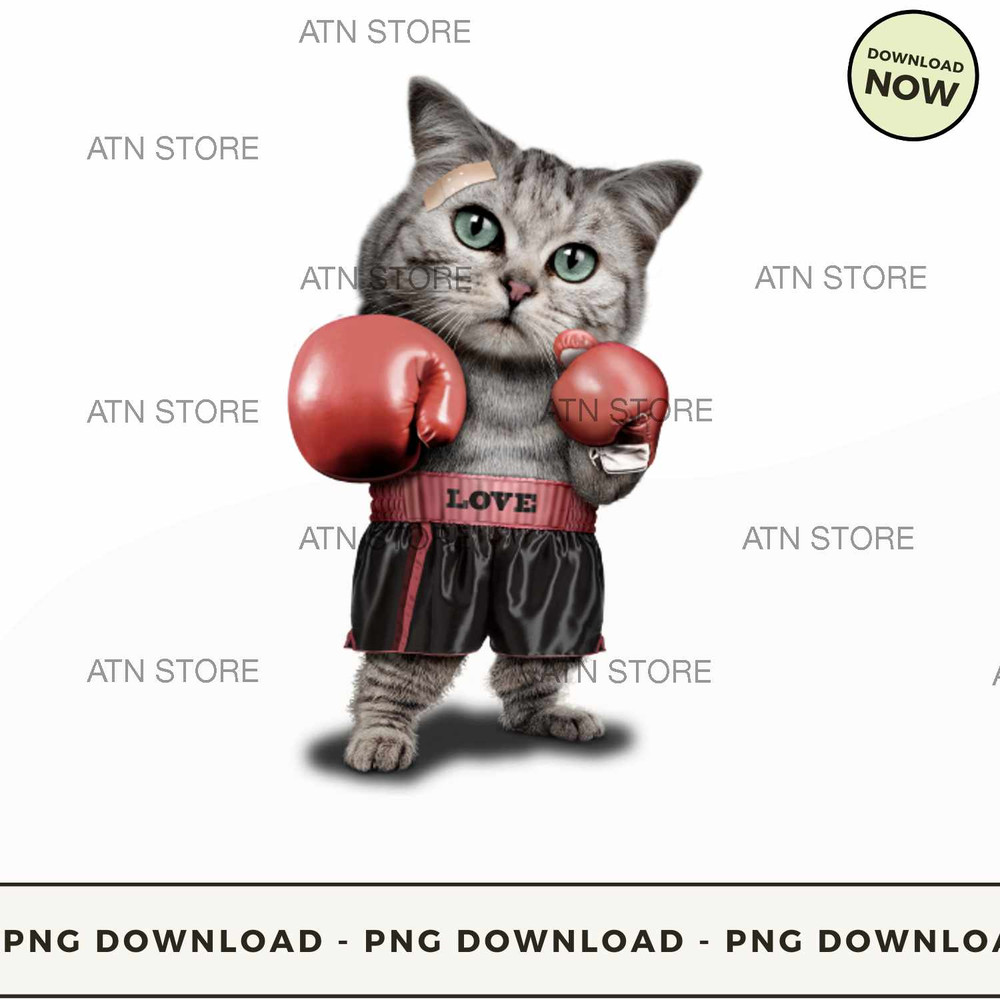 Boxing Cat Love.jpg