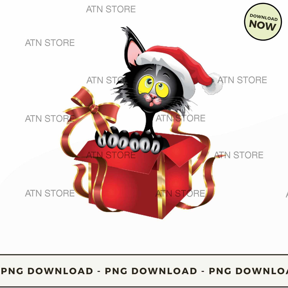 Cat in a christmas box.jpg