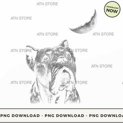 cane corso 31 high-quality png instant download, atn store