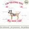 Im not a border terrier im a baby.jpg