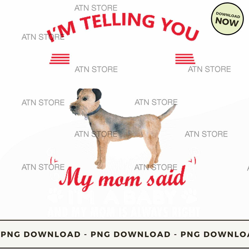 Im not a border terrier im a baby.jpg