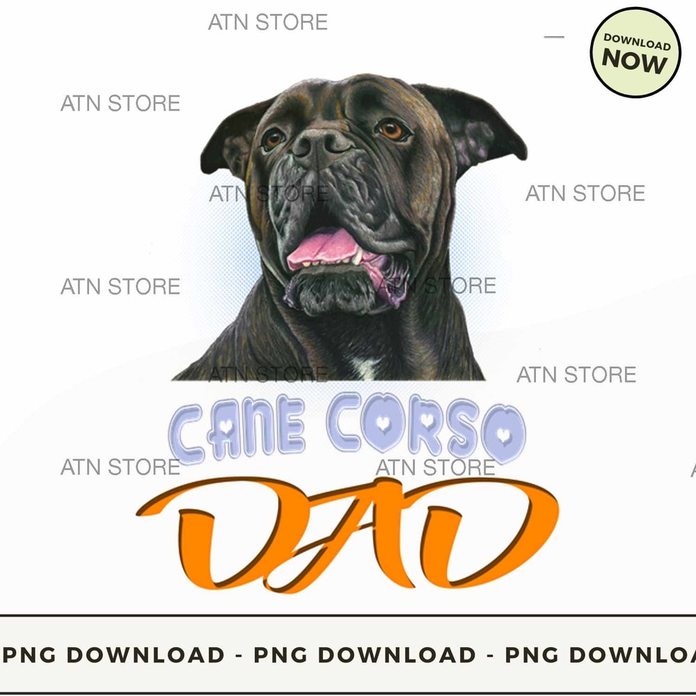 Cane corso dad.jpg