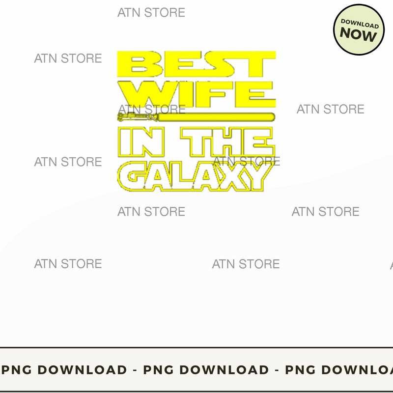 Best wife in the galaxy.jpg