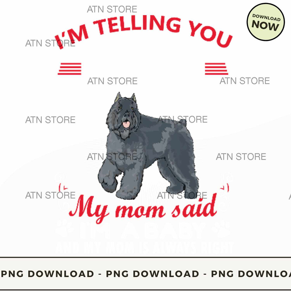 Im not a Bouvier des Flandres Im a baby.jpg