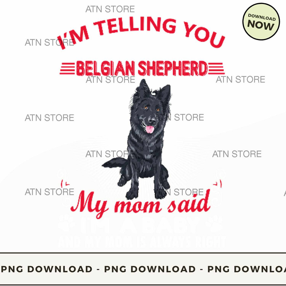 Im not a belgian shepherd im a baby.jpg
