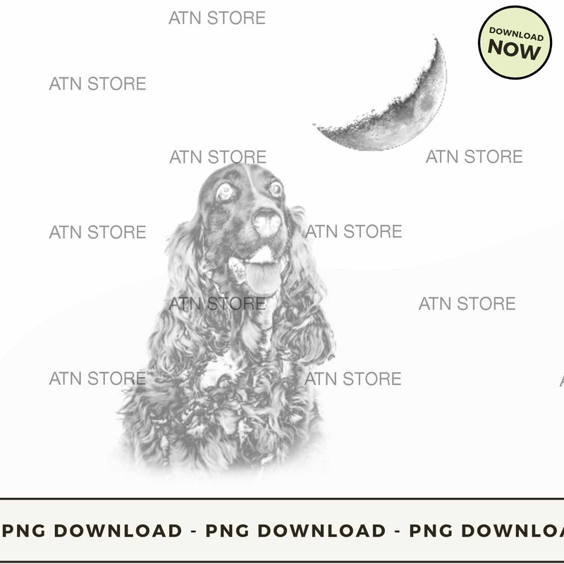 English cocker spaniel.jpg