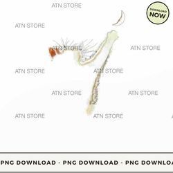 chasing the moon 72 high-quality png instant download, atn store