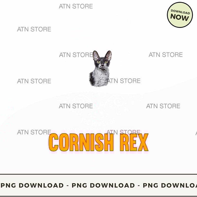 Cornish Rex tshirt.jpg
