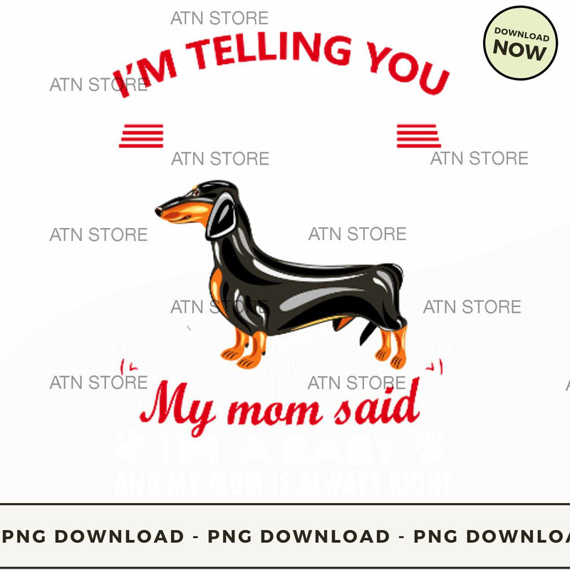 Im telling you Im not a Dachshund my mom said Im a baby and my mom is alway.jpg