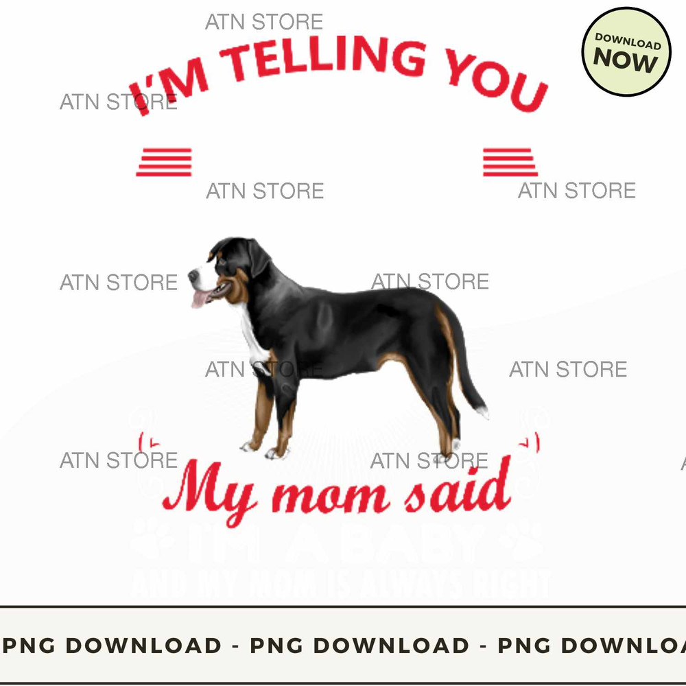 Im not a Greater swiss mountain dog im a baby.jpg