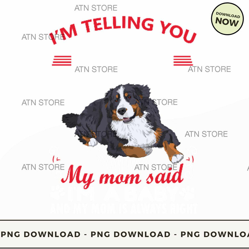 Im telling you Im not a Bernese Mountain dog my mom said Im a baby and my m.jpg