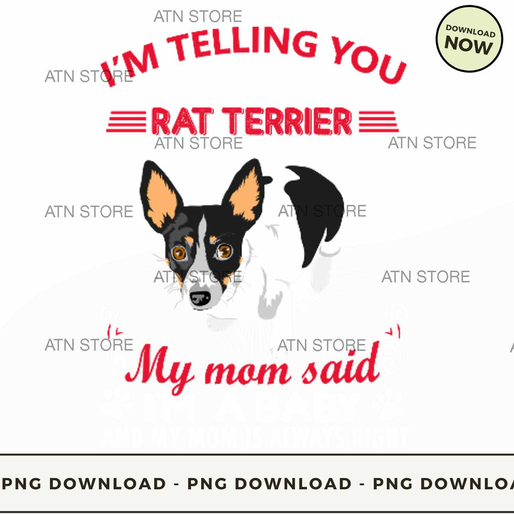 Im not a rat terrier im a baby.jpg