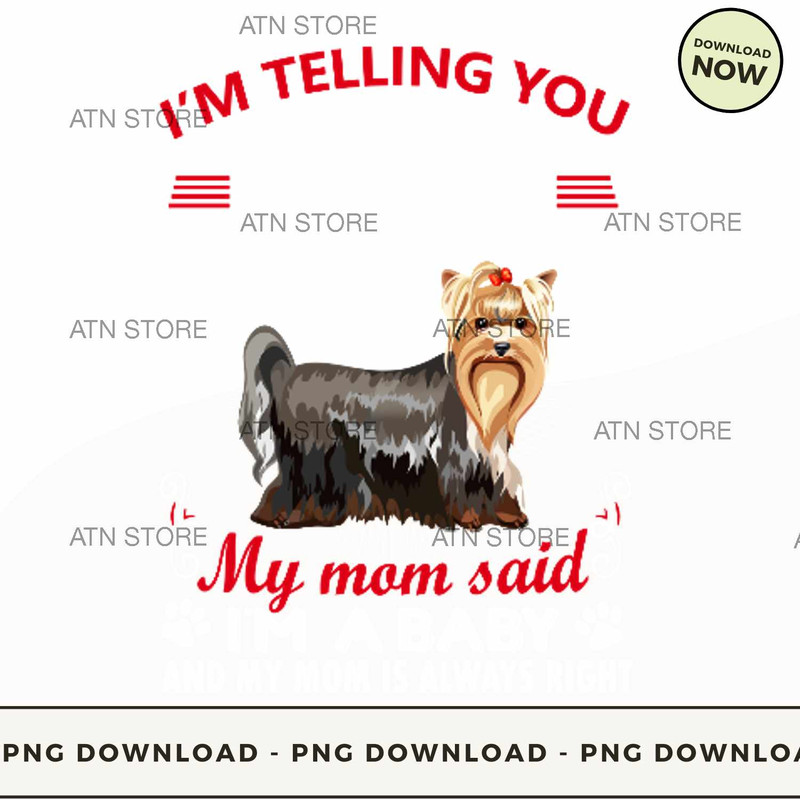 Im telling you Im not a Yorkshire terrier my mom said Im a baby and my mom .jpg