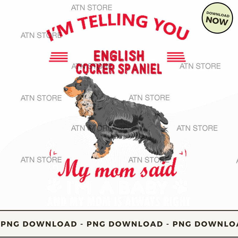 Im not an english cockers spaniel im a baby.jpg