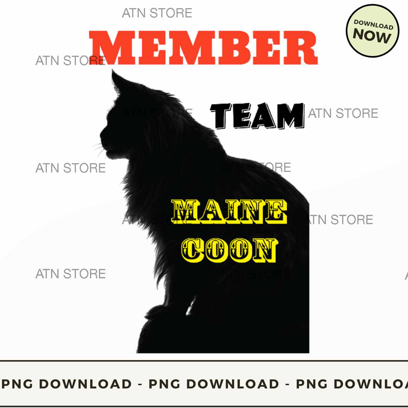 Member team maine coon.jpg
