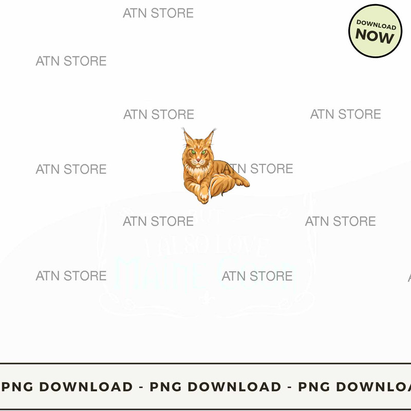 Maine Coon tshirt.jpg