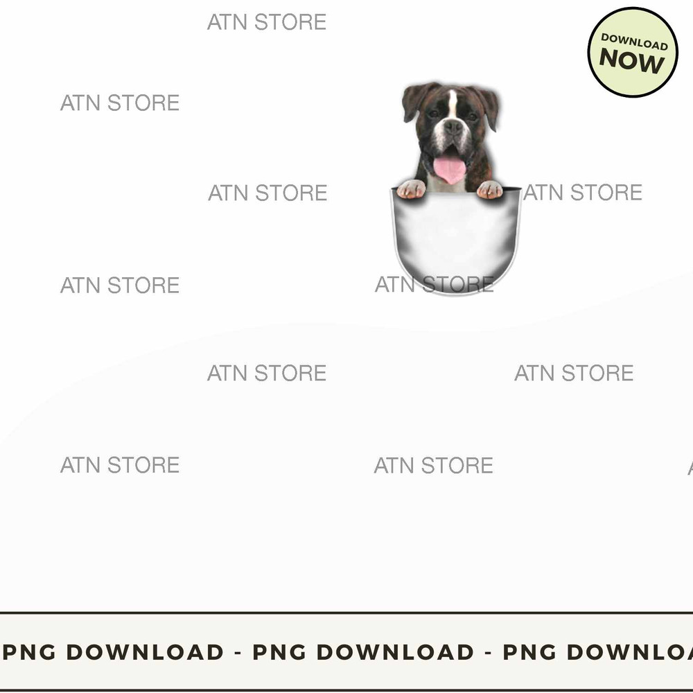 Cute smiling boxer puppy.jpg