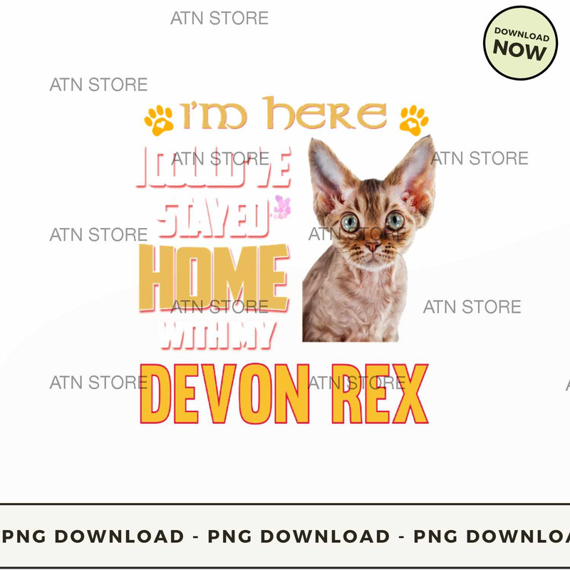Lucky Home With Devon Rex.jpg