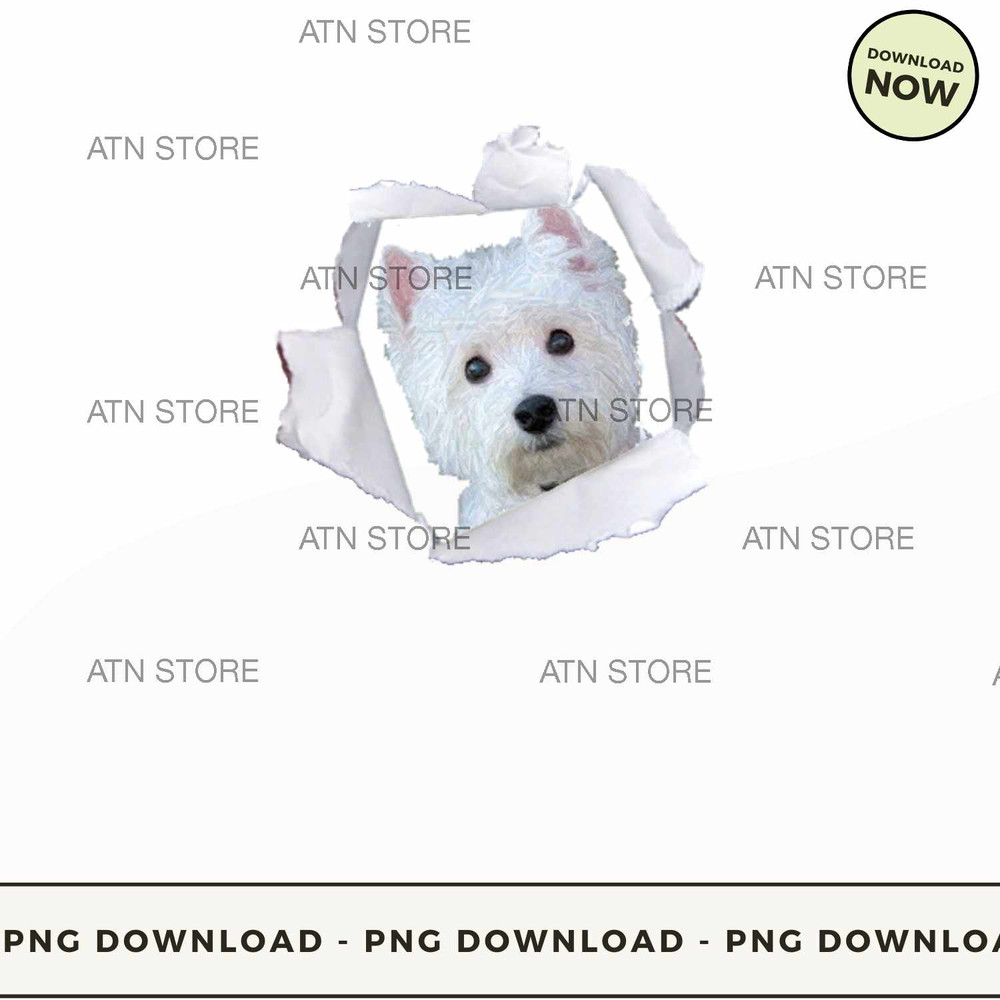 Tear out westie dog.jpg