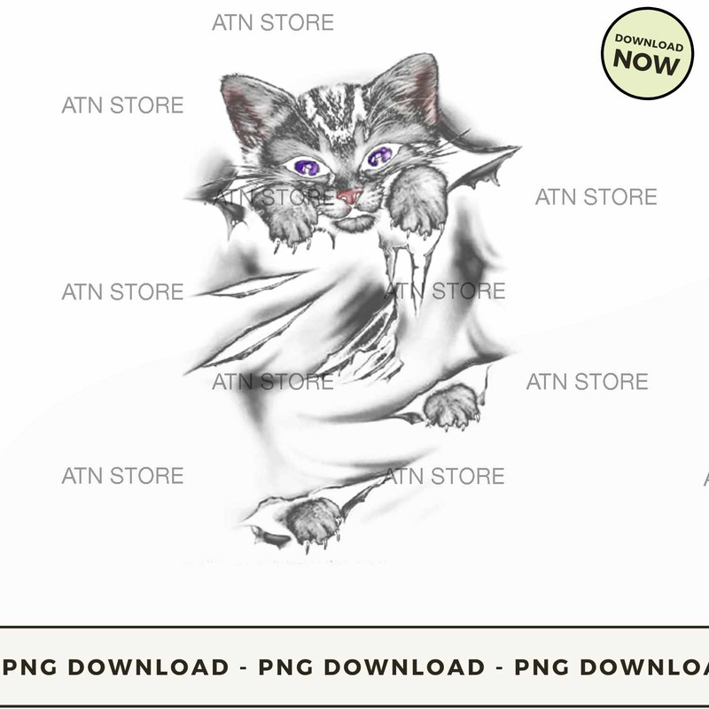 Cute Cat Scratch.jpg