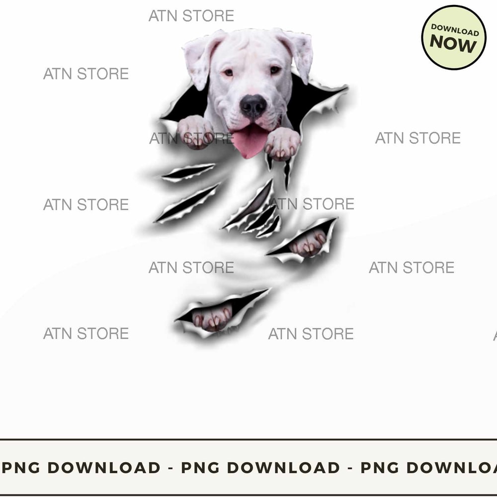 Dogo Argentino-Scratch.jpg