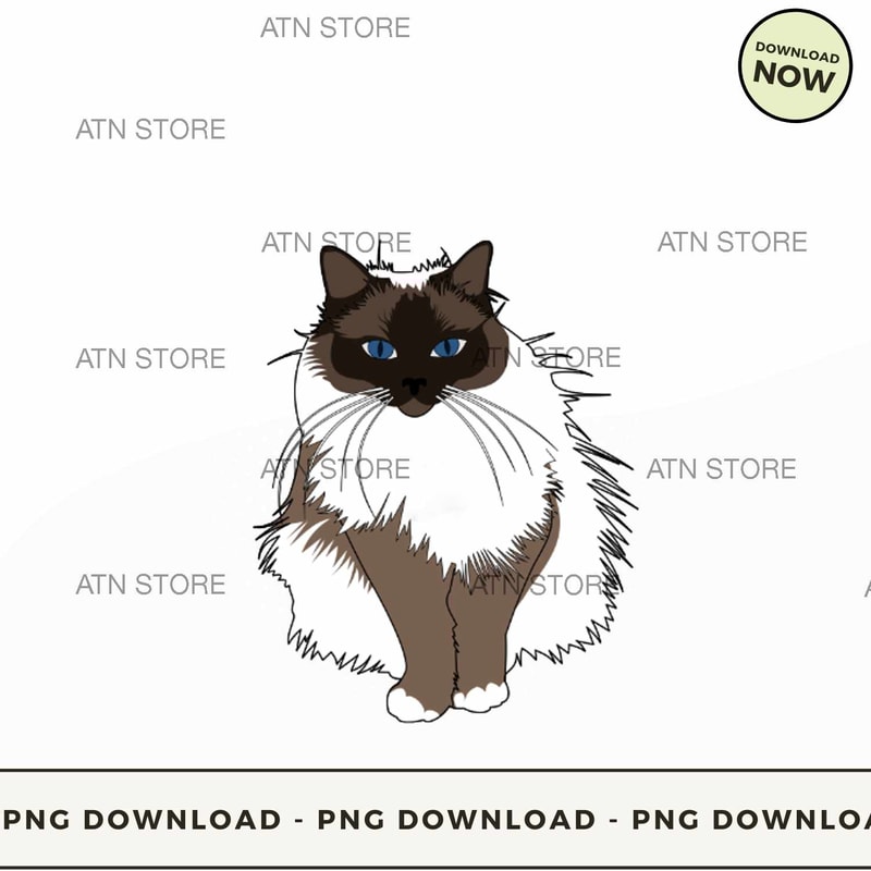 Mother of Birman.jpg