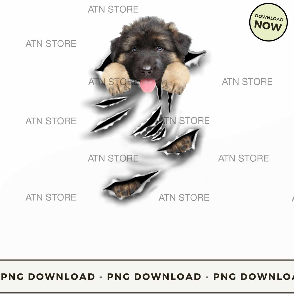 German Shepherd-Scratch1.jpg