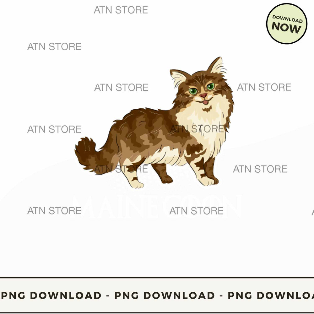 Mother of Maine Coon.jpg