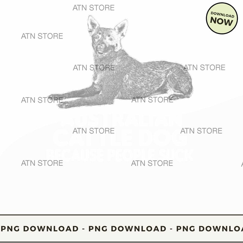 Australian cattle dog because people suck.jpg