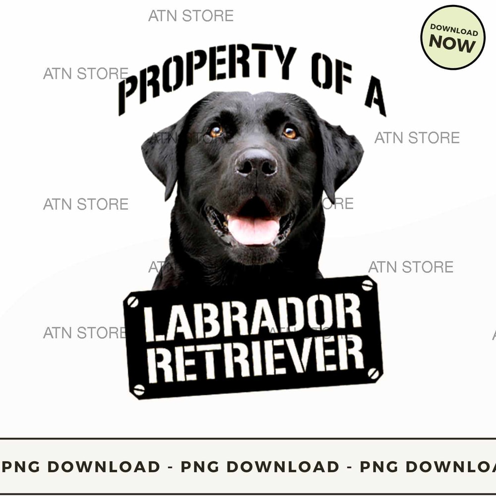 Property of a labrador retriever.jpg